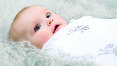 Swaddles