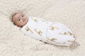 Aden + Anais Easy Swaddle Jungle
