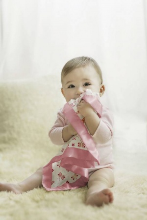 Aden + Anais Butterfly Issie Blankets