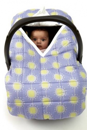 Ruby and Ginger Car Seat Covers