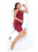 Dreamgenii Support Pillow