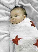 Aden + Anais Single Star Red Swaddle